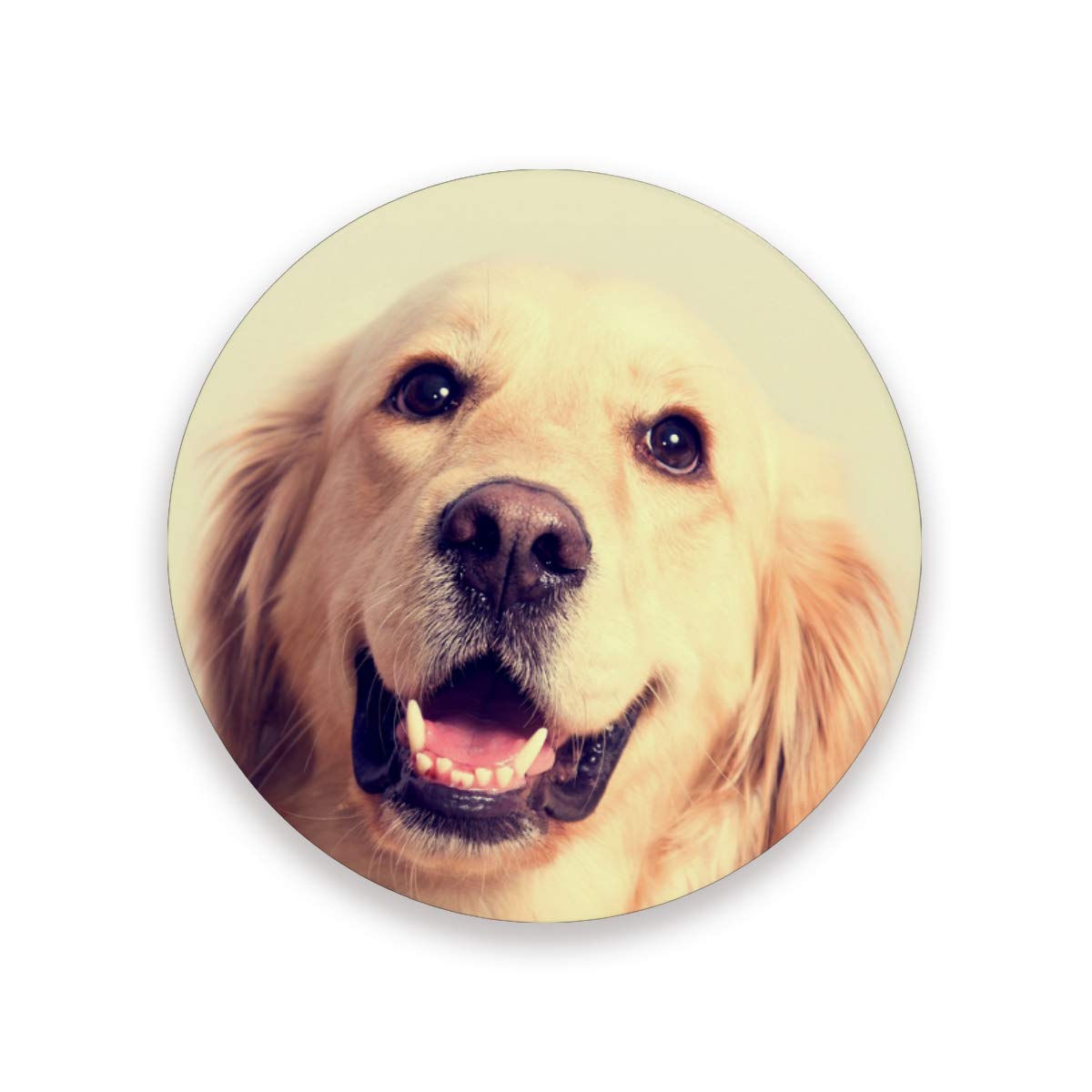 Golden Retriever Ceramic Coasters Set of 2 - Absorbent & Heat Resistant Drink Coasters with Cork Base - Funny Dog-Themed Home Decor for Coffee Tables, Office Desks & Gifts