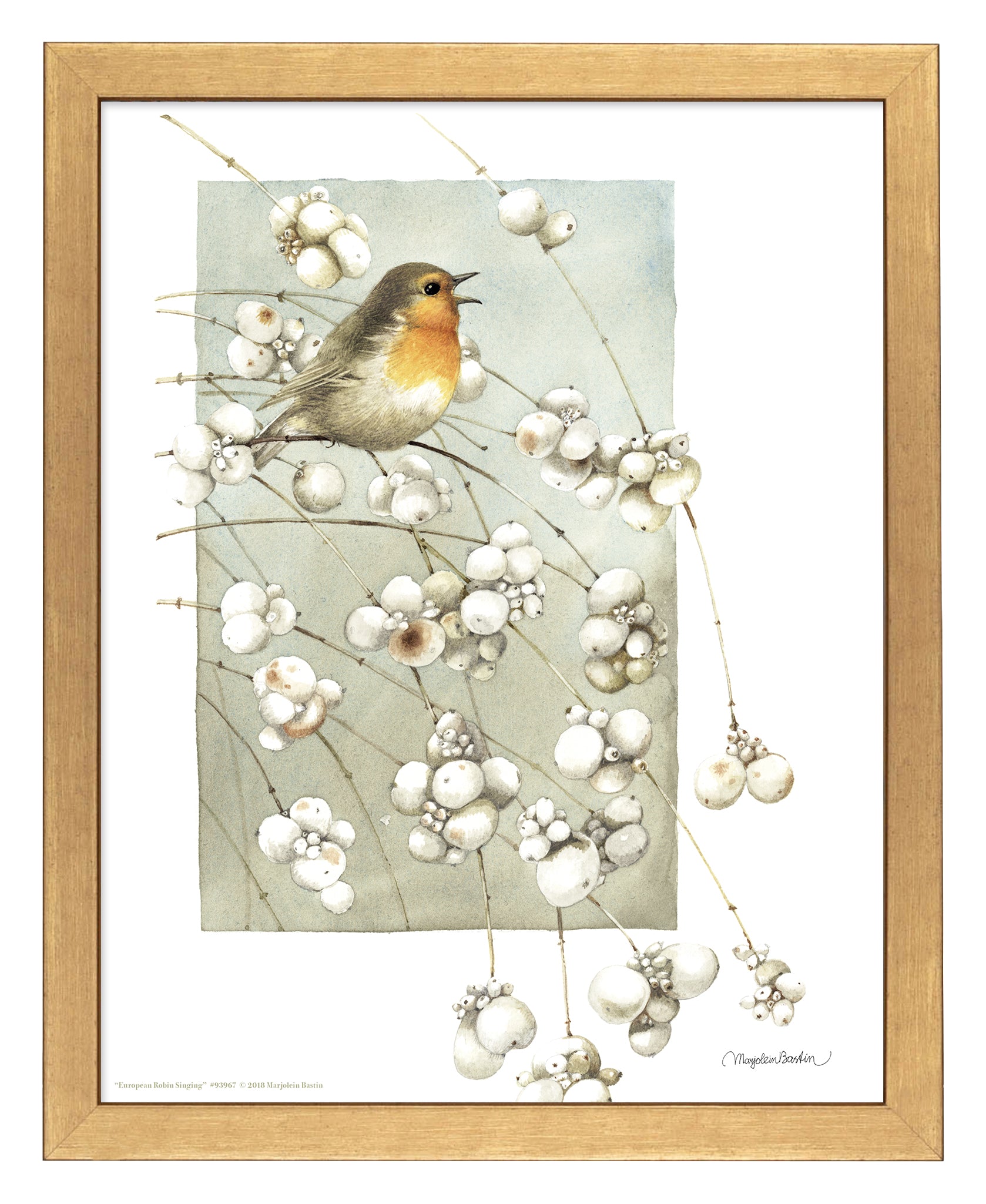 European Robin Singing Art Prints - Stunning Bird Wall Decor for Living Room, Bedroom & Office - Perfect Gift for Nature Lovers