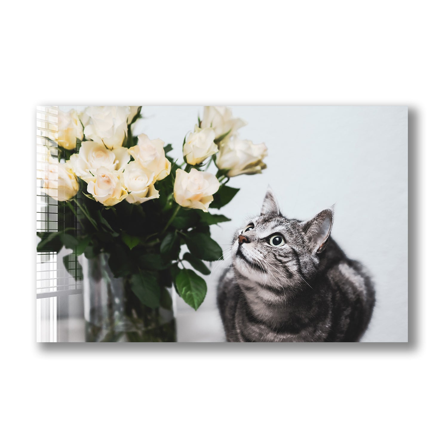 Romantic Cat - Adorable Cat-Themed Gifts for Cat Lovers | Perfect for Birthdays, Anniversaries & Valentine's Day