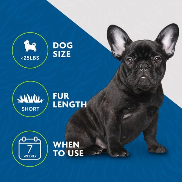 FURminator Small Dog Deshedding Tool for Short Hair - Reduce Shedding & Grooming Brush for Dogs - Perfect for Home Pet Grooming & Shed Control