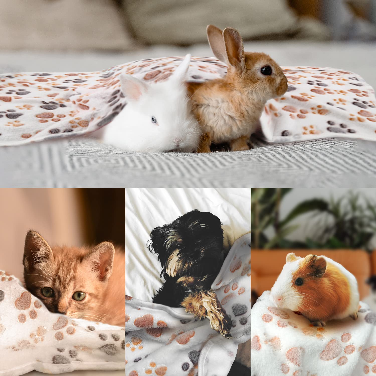 3 Pack Soft & Warm Fleece Flannel Pet Blankets for Cats and Dogs - Cozy Throw for Small, Medium & Large Dogs (23