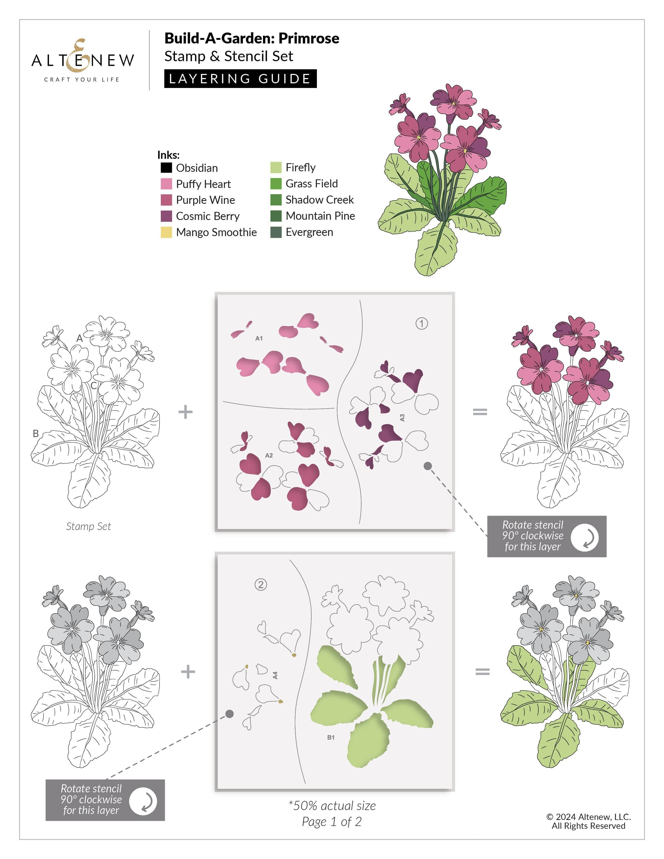 Primrose Seeds for Planting - Grow Beautiful Garden Flowers | Perfect for Outdoor Landscaping, Flower Beds & Container Gardening