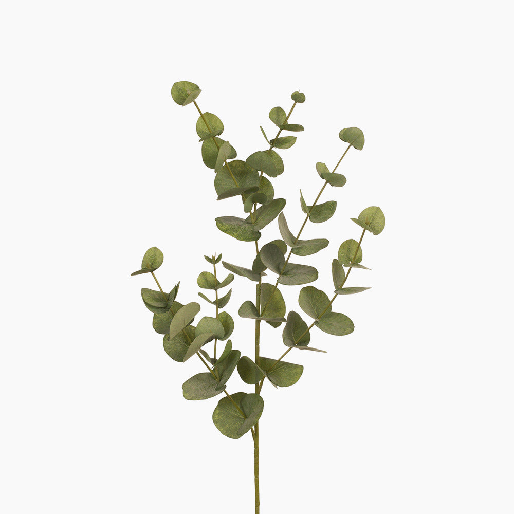 Green Dollar Gum - Fresh Mint Chewing Gum for Bad Breath, Energy & Focus - Perfect for Work, School & Travel