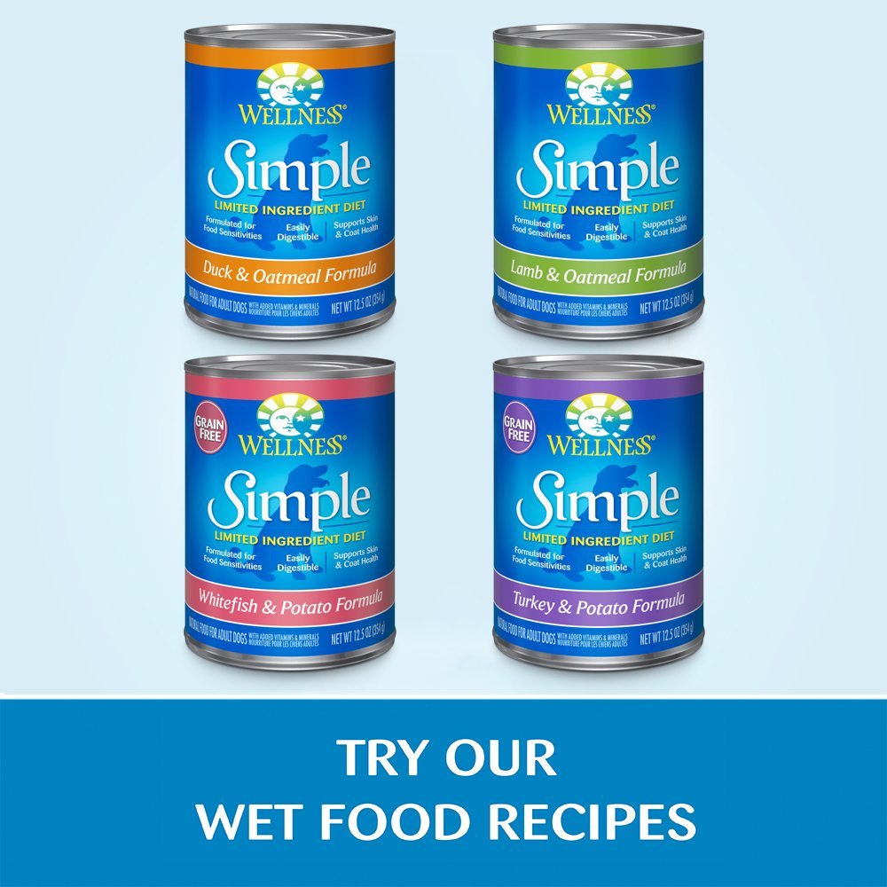 Wellness Simple Natural Limited-Ingredient Grain-Free Dry Dog Food for Small Breeds - Salmon & Potato Recipe (10.5 lb Bag) | Easy Digestible for Sensitive Stomachs, Promotes Healthy Skin & Coat | Perfect for Picky Eaters & Dogs with Food Allergies