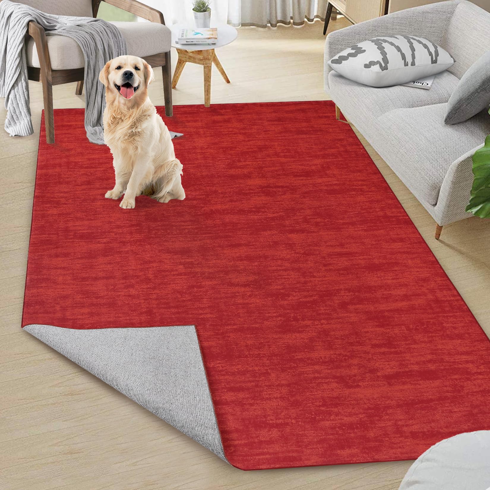 GARVEE 3x5 Feet Modern Washable Non-Slip Area Rug - Solid Red Contemporary Throw Rug for Living Room, Bedroom, Kids Room - Soft Indoor Carpet Perfect for Home Decor, Dorm & Office Spaces (3' x 5')