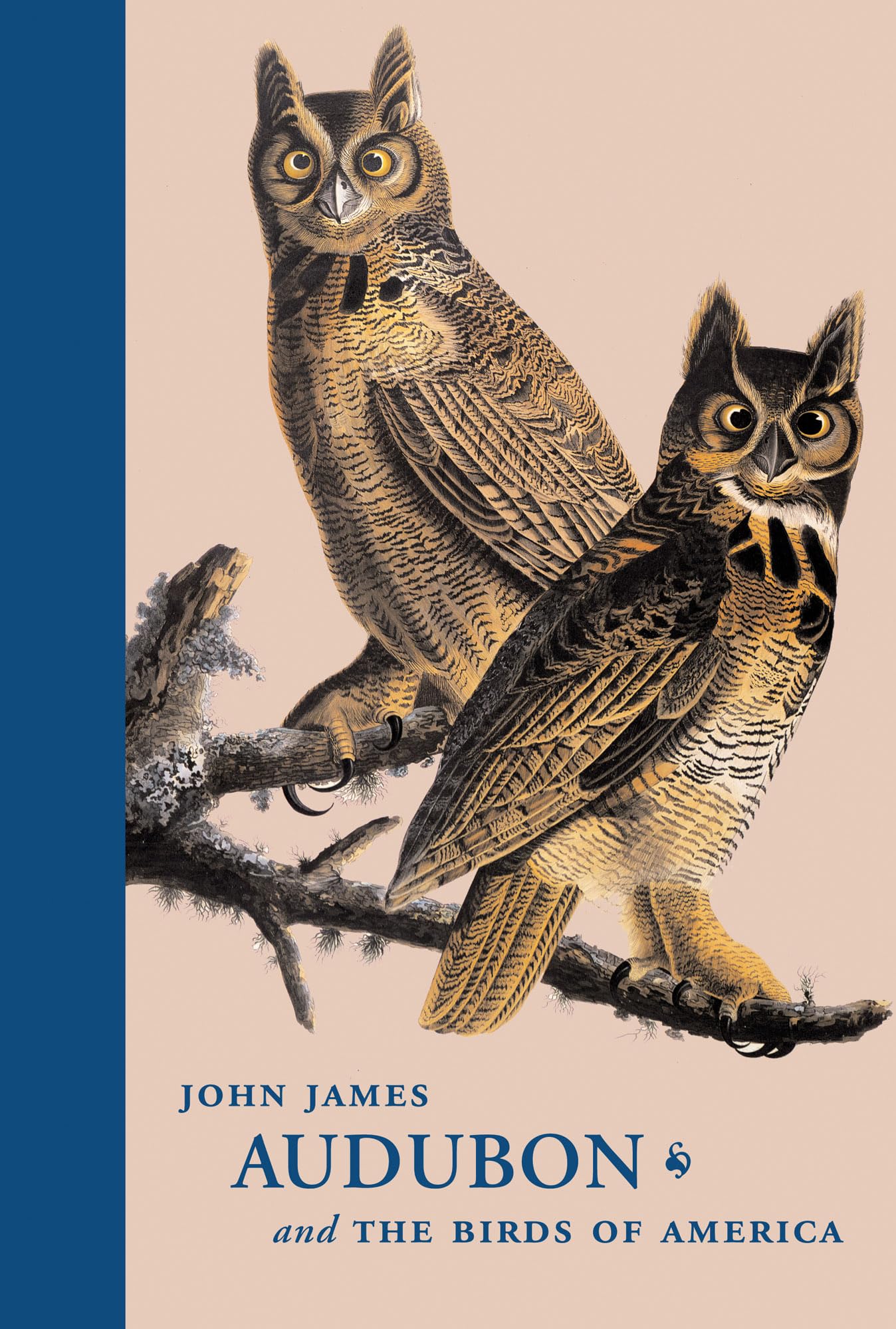 John James Audubon Birds of America Book - Huntington Library Classics Edition | Perfect for Bird Lovers, Nature Enthusiasts & Art Collectors