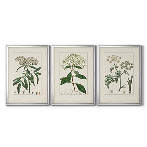 Art S2072-3SS