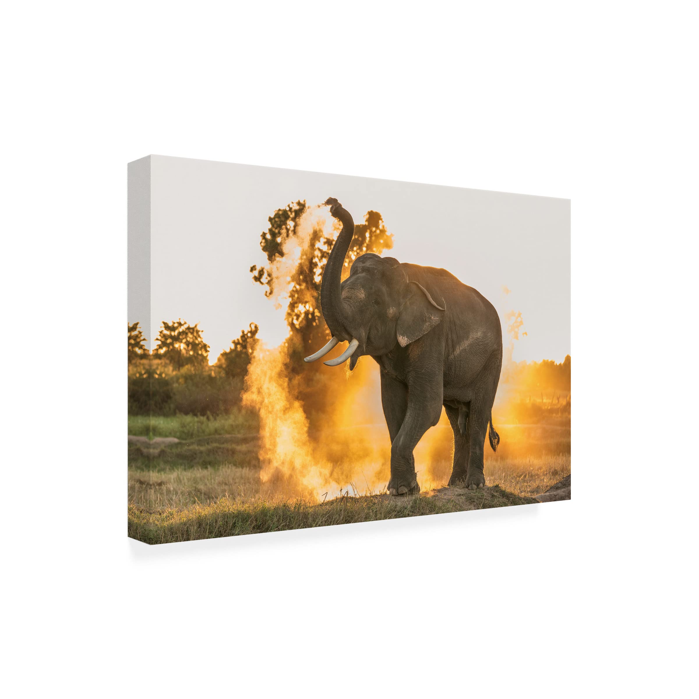 Trademark Fine Art 'Hot Day' Canvas Wall Art by The Jar – Vibrant Summer Décor for Living Room, Bedroom & Office