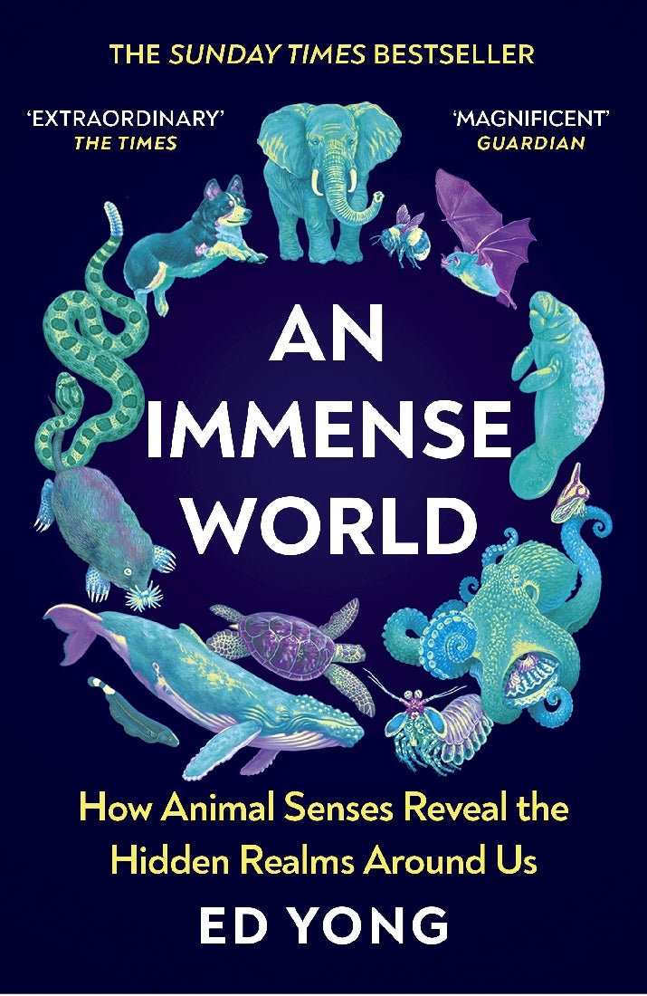 An Immense World 2 - Explore Boundless Adventures | Perfect for Travel Enthusiasts & Nature Lovers