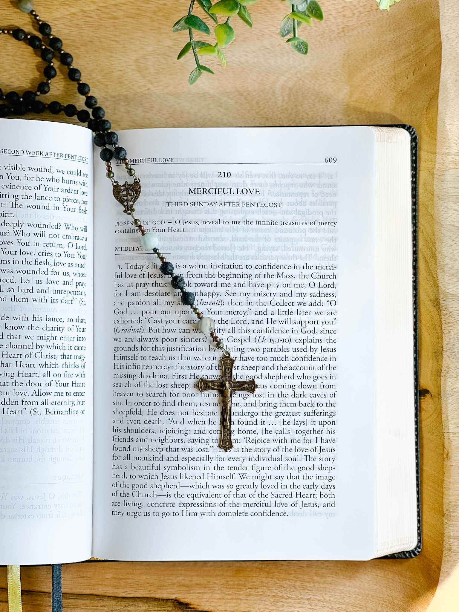 Divine Intimacy Devotional - Catholic Prayer Book for Daily Spiritual Growth | Perfect for Personal Meditation & Bible Study