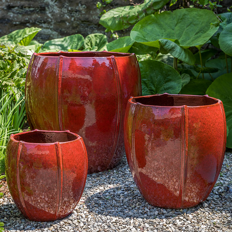 Tropical Red
