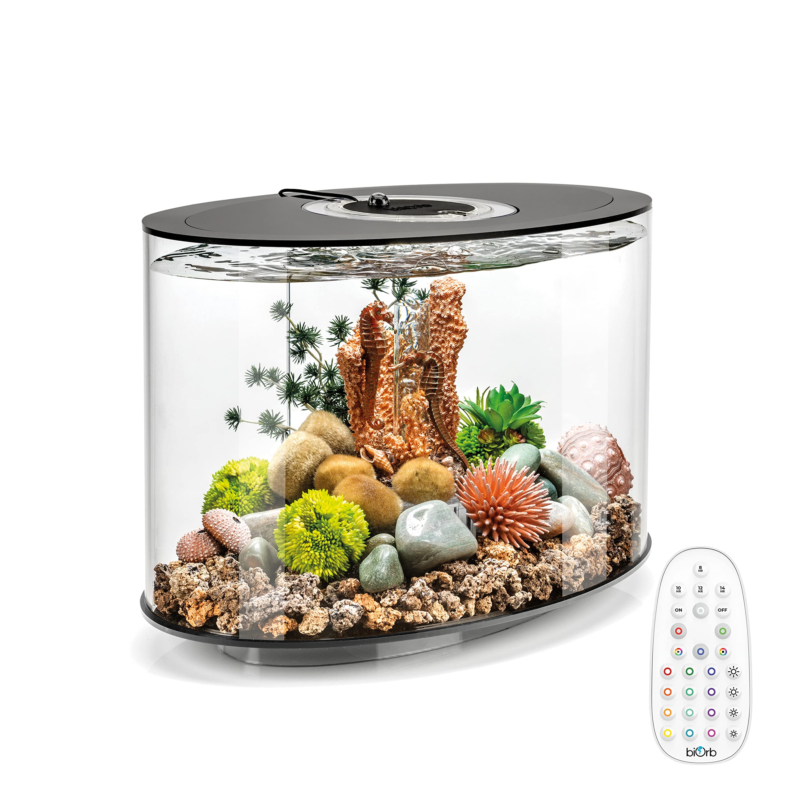 biOrb Loop 15 Acrylic 4-Gallon Aquarium with Remote-Controlled Multi-Color LED Lights - Modern Compact Fish Tank for Tabletop, Desktop, Office or Home Decor - Black Trim Design for Stylish Display