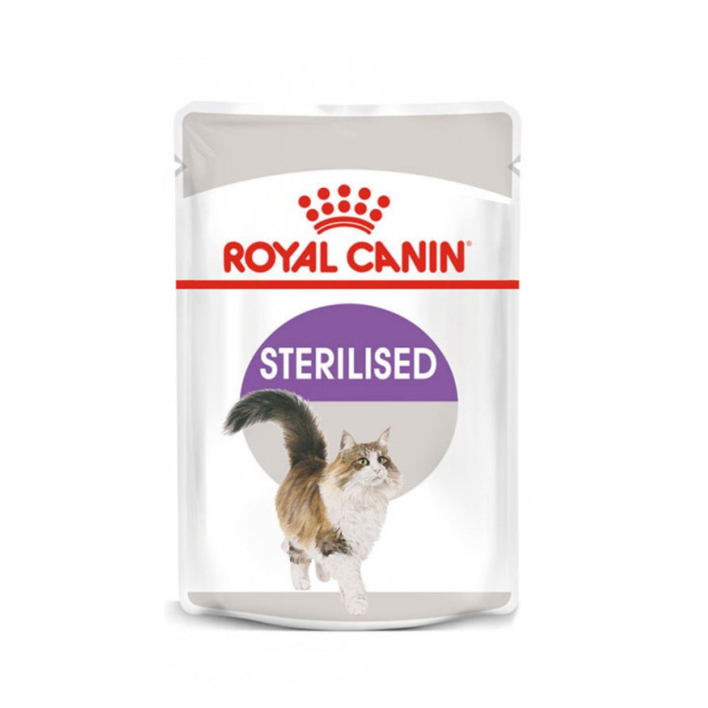 Royal Canin Wet Cat Food for Adult Cats - 85g Pouch, High Protein & Balanced Nutrition - Perfect for Picky Eaters & Indoor Cats - Ideal for Daily Meals & Special Occasions