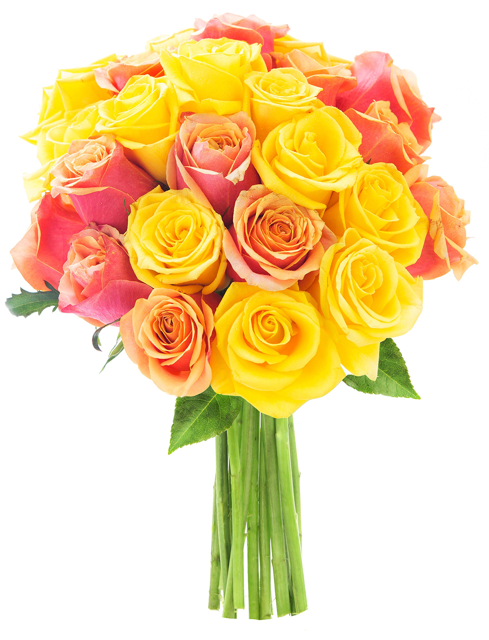 KaBloom PRIME NEXT DAY DELIVERY - 24 Long Stem Orange & Yellow Roses Bouquet | Fresh Cut Flowers for Birthday, Anniversary, Valentine's Day, Mother's Day, Sympathy, Get Well & Thank You Gifts | Perfect for Weddings, Home Decor & Special Occasions
