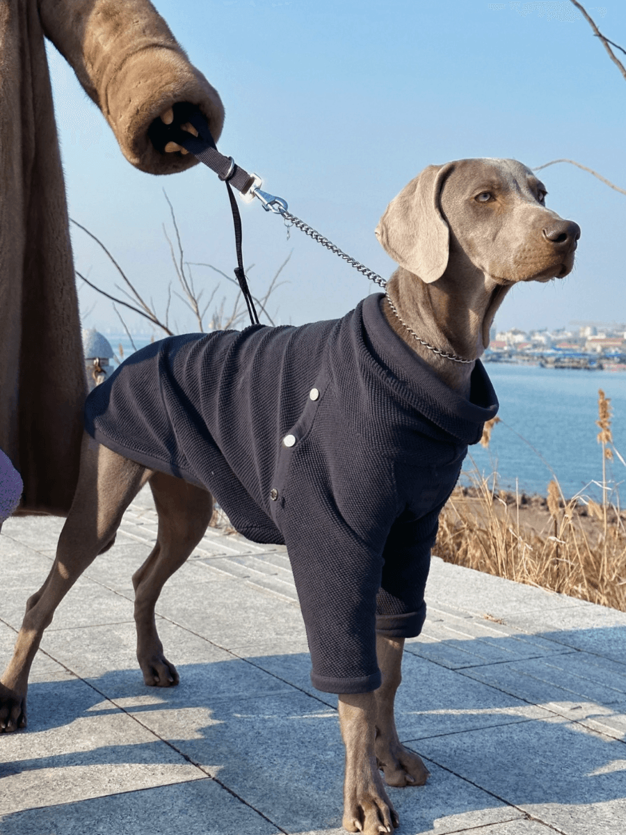 Odysseus Sweater for Men - Premium Knit Pullover for Casual & Winter Wear | Cozy & Stylish Sweater for Outdoor Activities & Everyday Fashion
