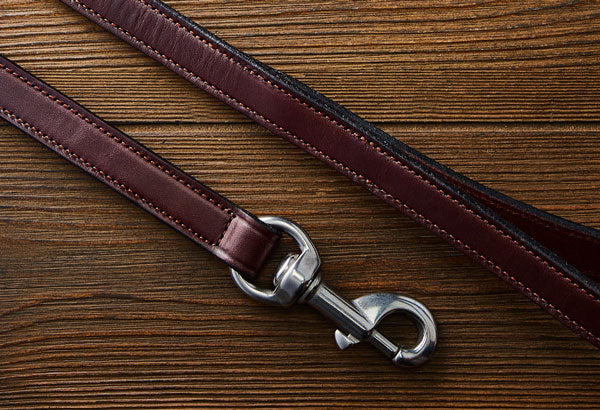 Old Reliable Dog Leash - Durable & Strong Pet Walking Lead for Small, Medium & Large Dogs - Perfect for Daily Walks, Hiking & Outdoor Adventures