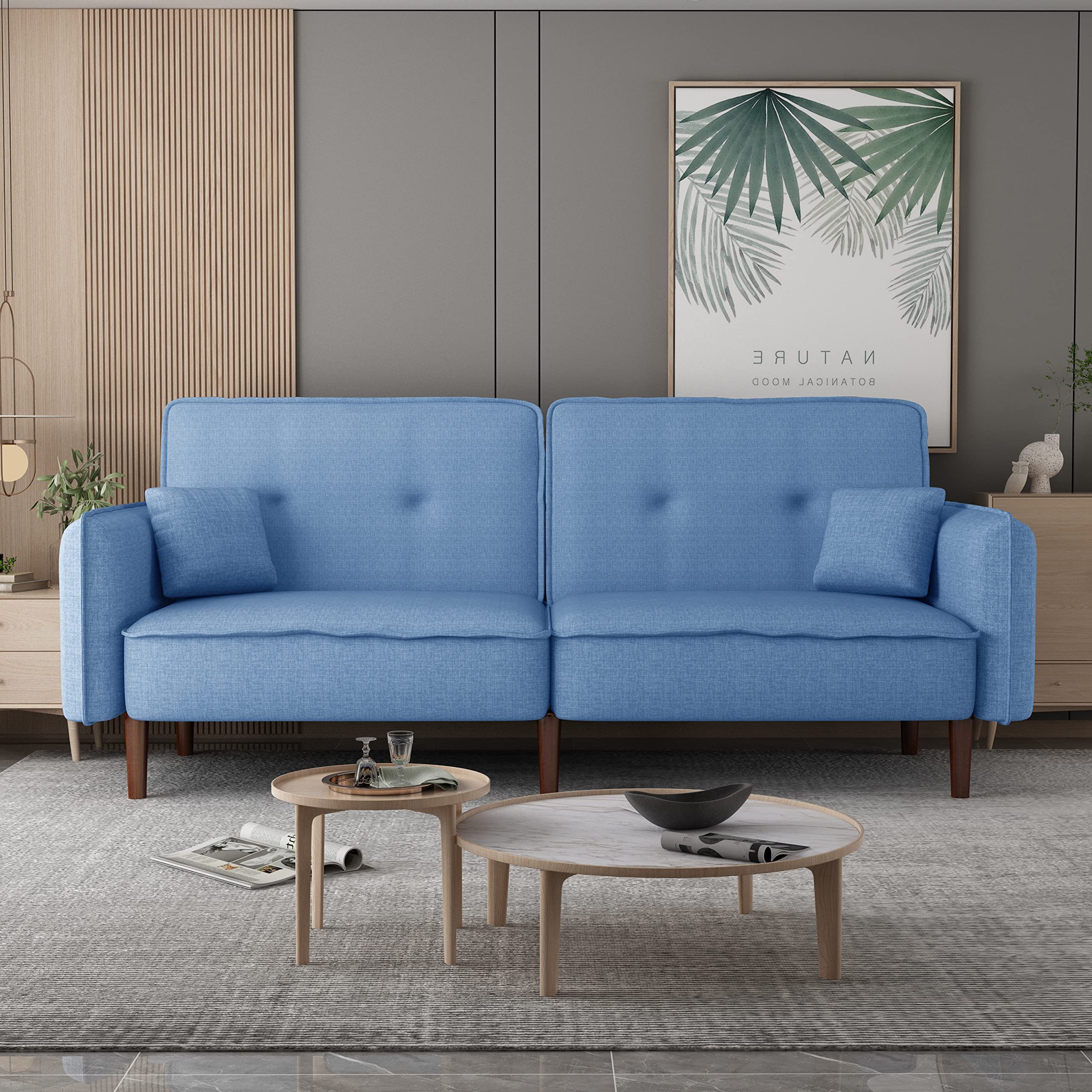 OUYESSIR Modern Convertible Futon Sofa Bed with 2 Pillows - 3-Position Adjustable Backrest & Solid Wood Legs - 75