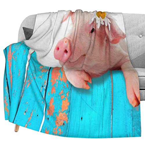 Cute Pig
