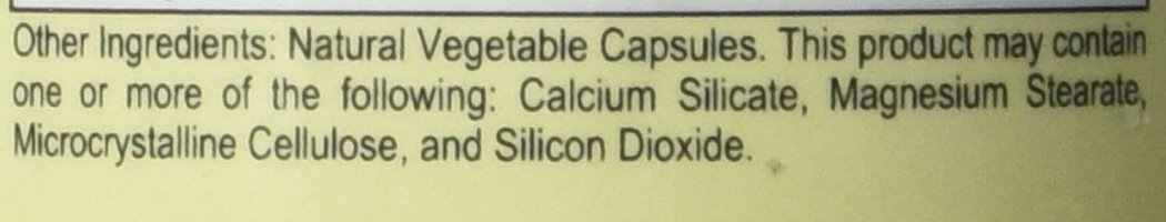 Ortho Molecular Products Pyloricil Digestive Support Supplement - 60 Capsules for Gut Health & Stomach Comfort | Supports Healthy Digestion & Gastrointestinal Balance