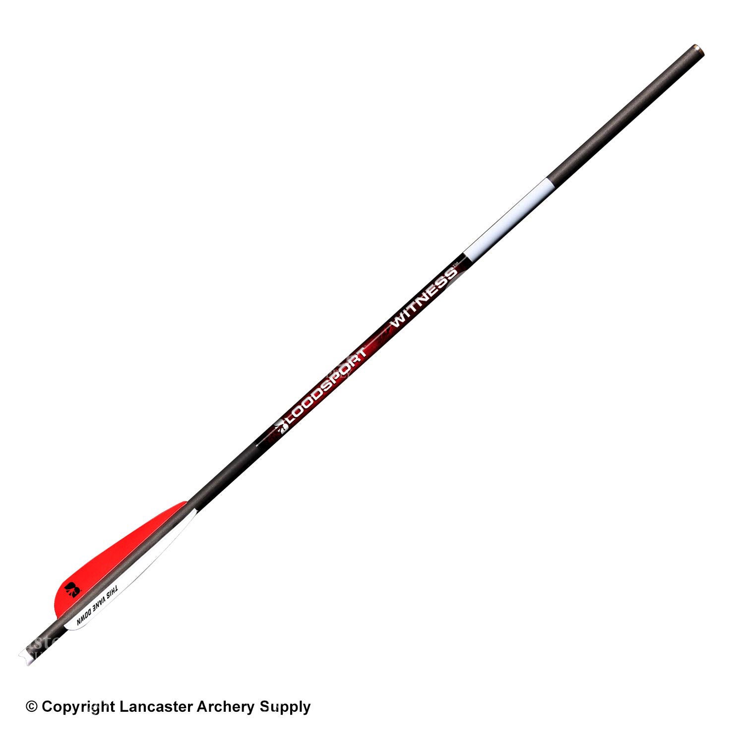 Bloodsport Witness Crossbow Arrows - High Performance Hunting Bolts for Target Practice & Outdoor Adventures