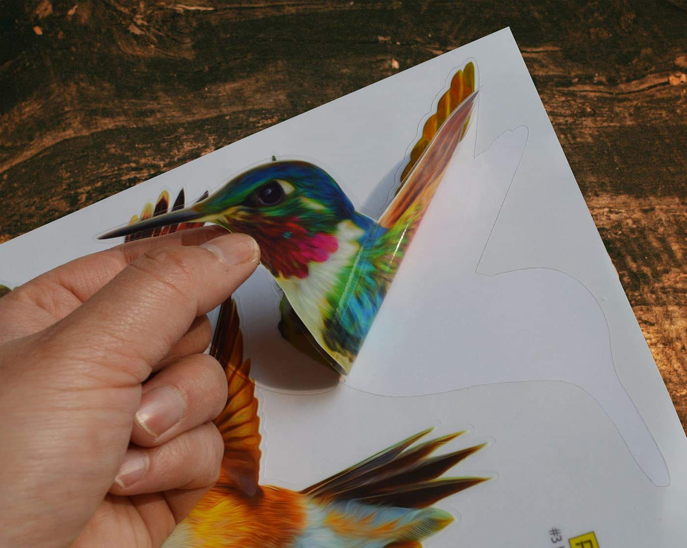 12-Pack Anti-Collision Window Decals - Hummingbird Stickers to Prevent Bird Strikes on Glass Windows | UV-Resistant & Weatherproof for Home, Office, and Garden Use