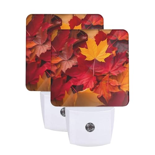 Fall Maple Leaves