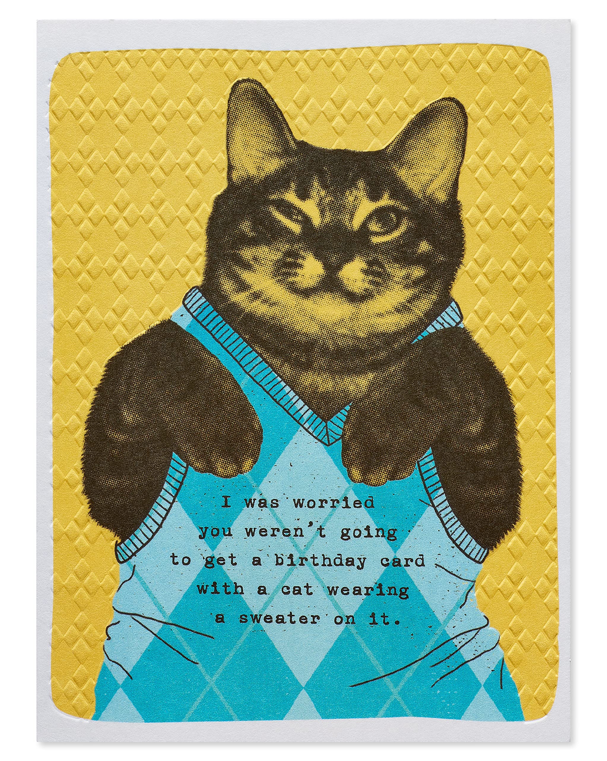 Funny Cat Birthday Card - American Greetings Humorous Cat Wearing Argyle Sweater Card for Cat Lovers - Perfect for Friends & Family Birthday Gifts