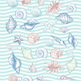 Shell Ocean Theme