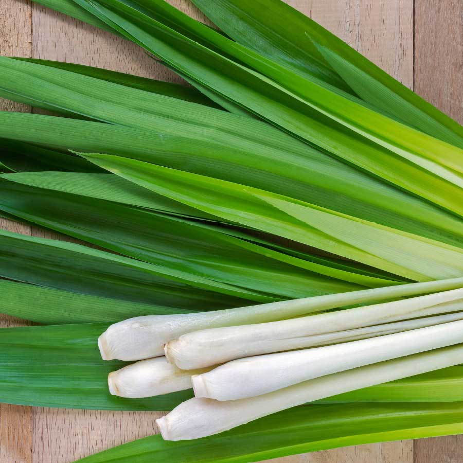 Organic Lemongrass Essential Oil 15ml - 100% Pure Therapeutic Grade for Aromatherapy, Massage & DIY Skincare