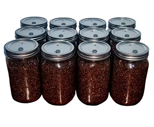 Sterilized Milo Grain Mushroom Substrate - 12 Pre-Poured Jars with Self-Healing Injection Port & Filter Patch for Mushroom Cultivation - Perfect for Growing Oyster, Shiitake, and Lion's Mane Mushrooms at Home or Lab