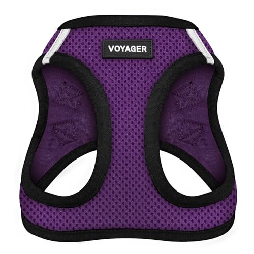 Harness (Purple/Black Trim)