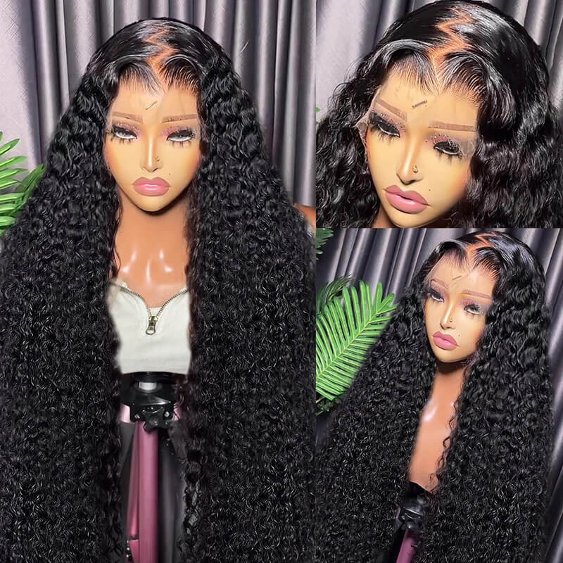 Eullair 13x4 HD Lace Full Frontal Wig - Invisible Lace Closure Wig for All Skin Tones & Hair Textures | New Arrival Human Hair Wig | Perfect for Daily Wear, Parties & Special Occasions