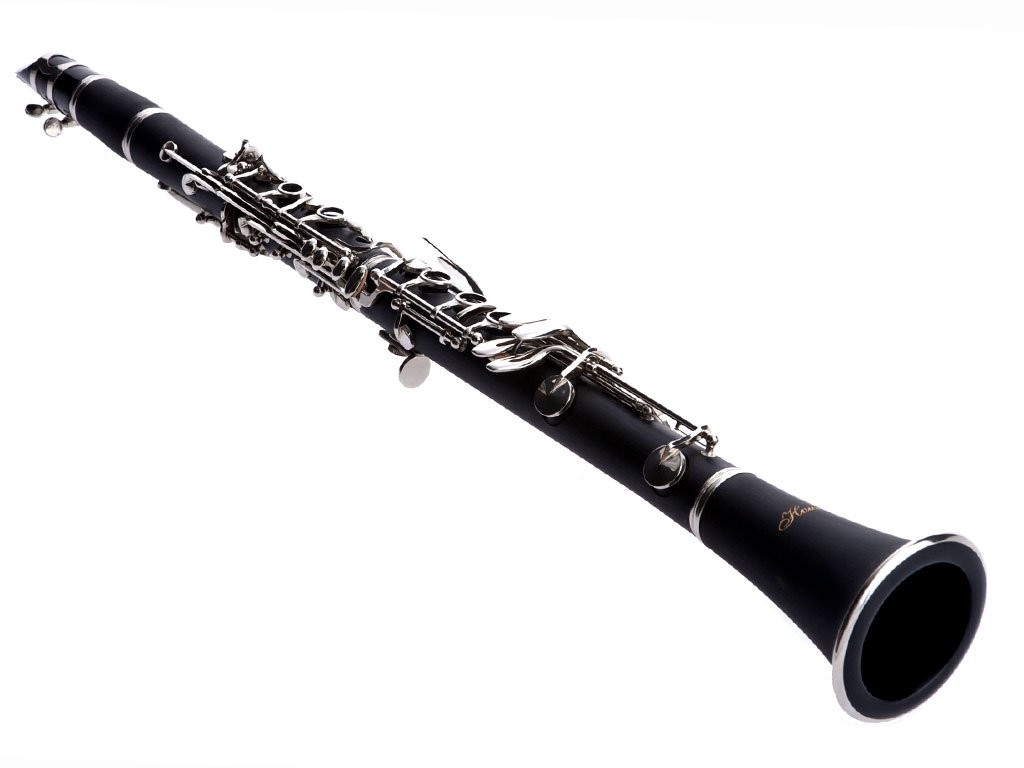 Hawk WD-C212 Bb Clarinet Outfit - Matte Finish with Hard Case, Mouthpiece & Reeds - Perfect for Beginners, Students & Band Performances