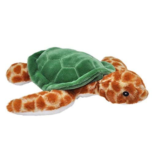 Sea Turtle