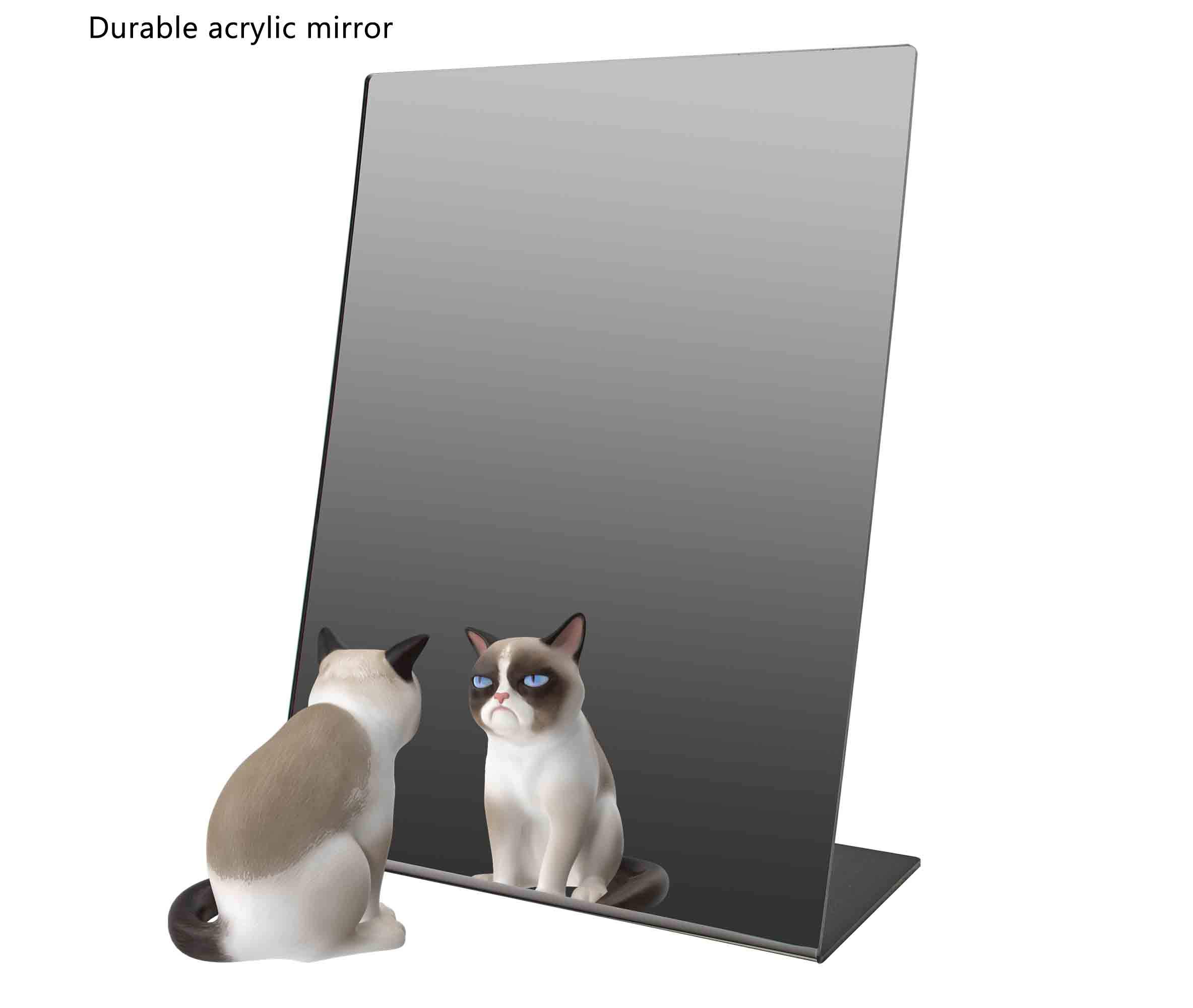 2 Pack Acrylic Mirror Stand 12