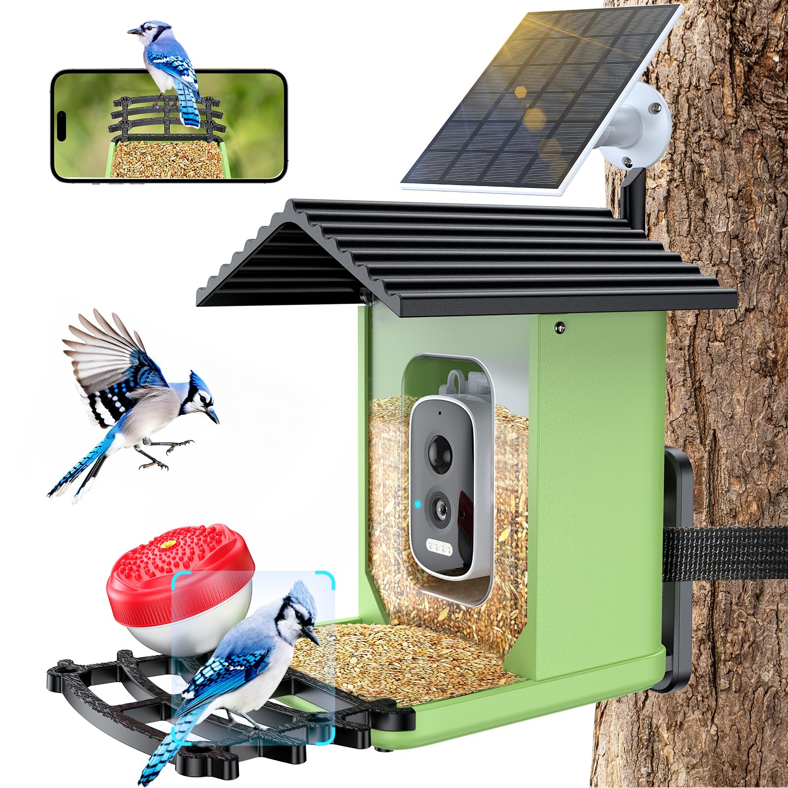 2K HD Smart Bird Feeder with Camera - Solar Powered AI Bird House with Live View, Instant Alerts & Auto Video Capture - Perfect Outdoor Gift for Bird Lovers | Watch & Identify Birds in Your Backyard