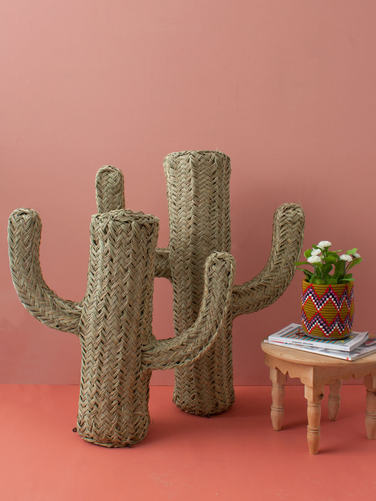 Halfah Grass Cactus - Natural Decorative Plant for Home, Office & Garden | Perfect for Indoor Succulent Arrangements & Desert Landscaping