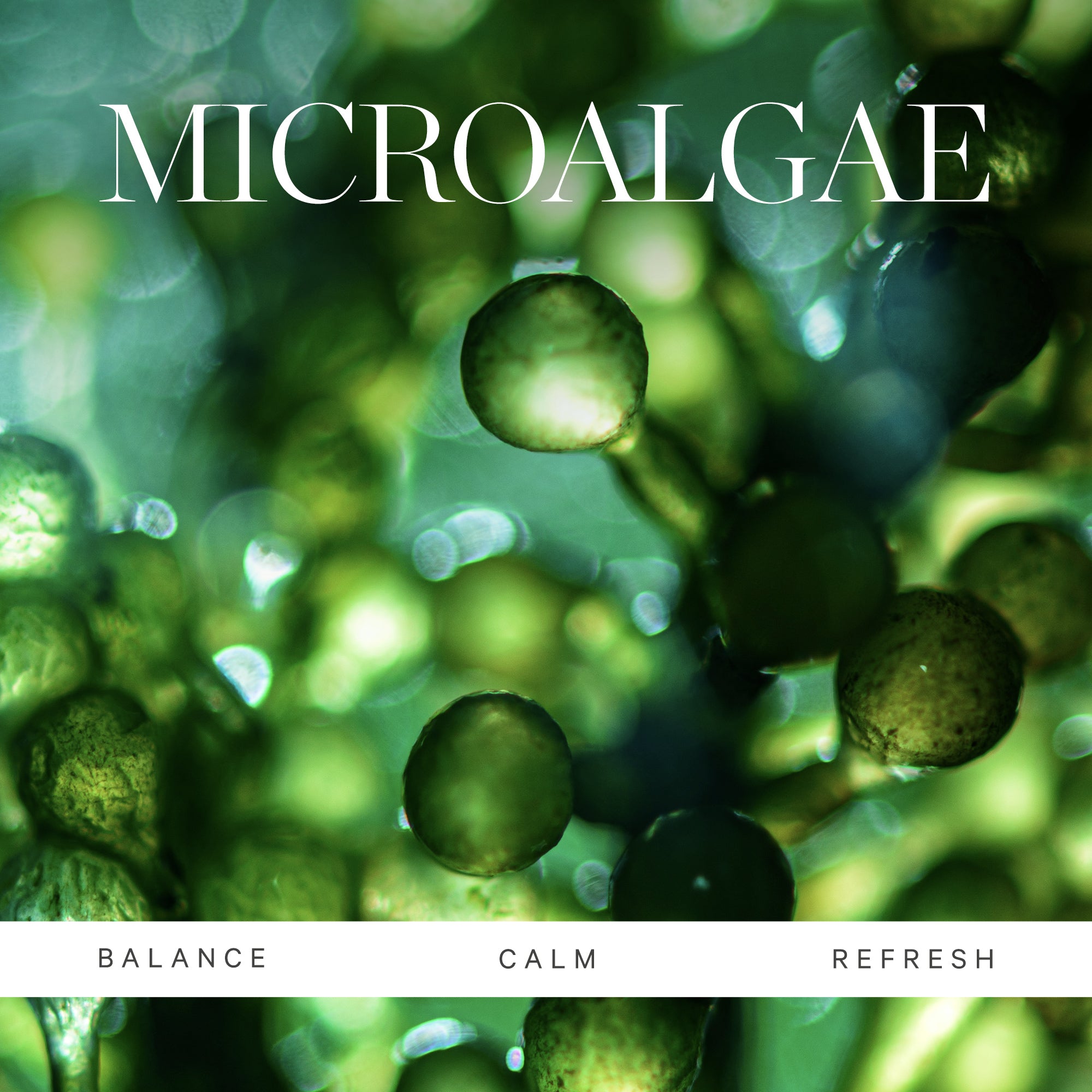 Organic Algae Calming Cleansing Balm for Sensitive Skin - Hydrating & Soothing Facial Cleanser - Perfect for Daily Skincare & Makeup Removal