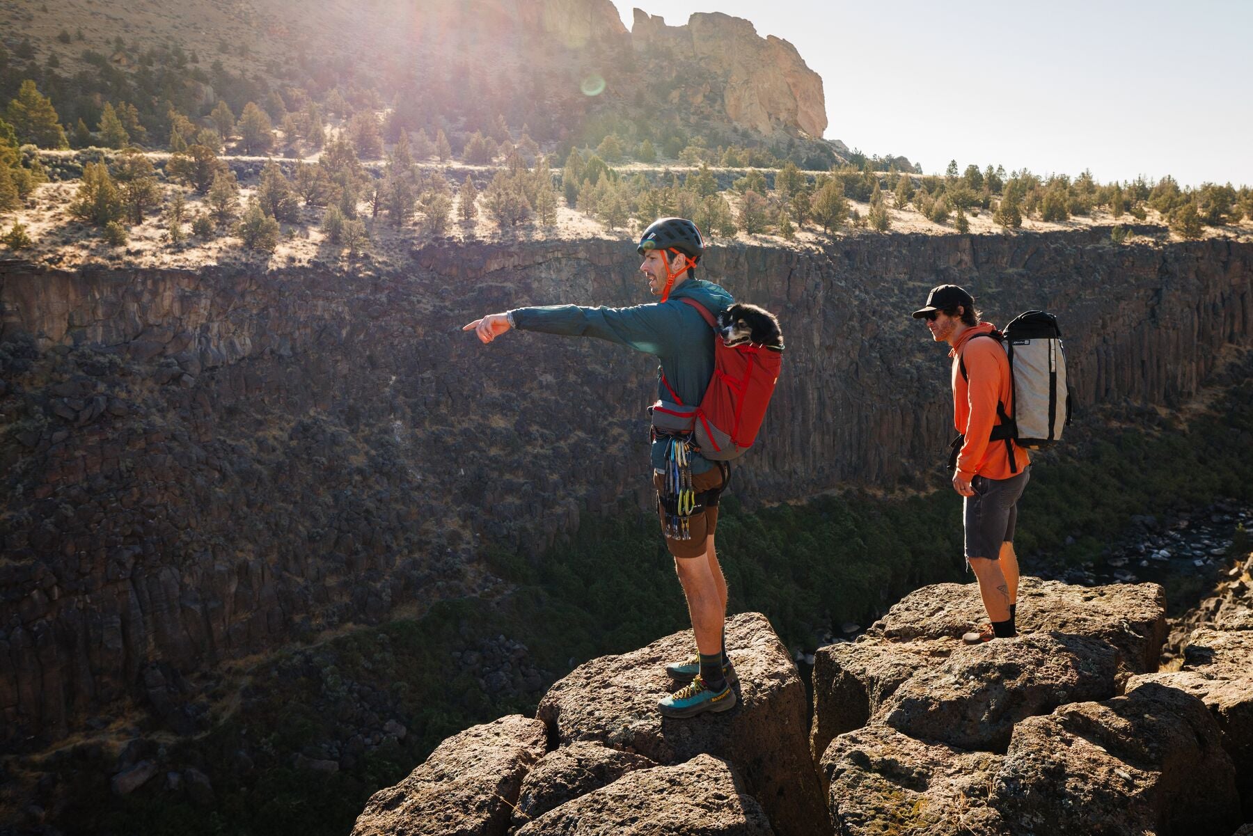 Ruffwear® Hitch Hiker™ Technical Dog Carrier Backpack - Basalt Gray | Durable Pet Hiking & Travel Backpack for Outdoor Adventures
