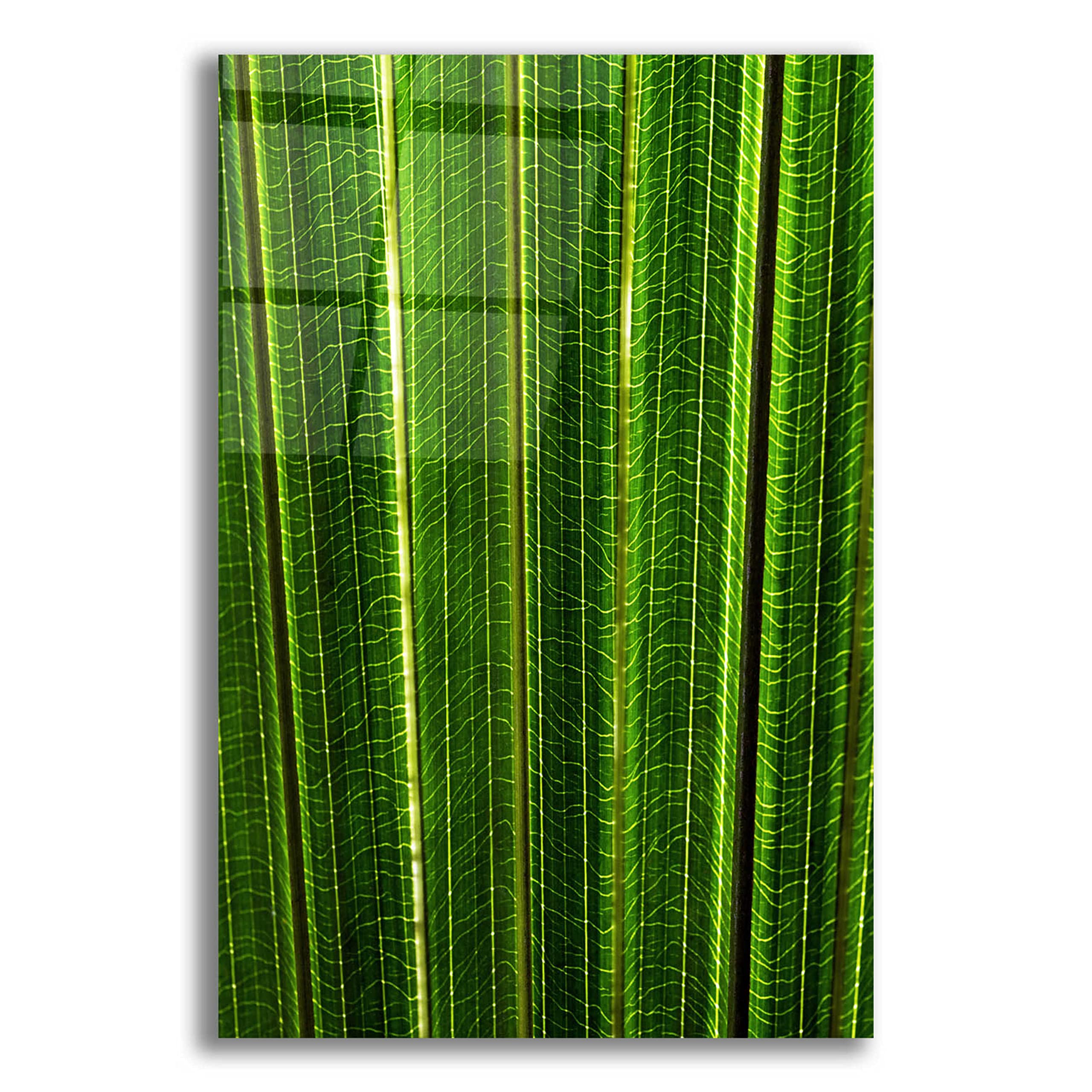 Epic Art 'The Great Green Wall' - 16