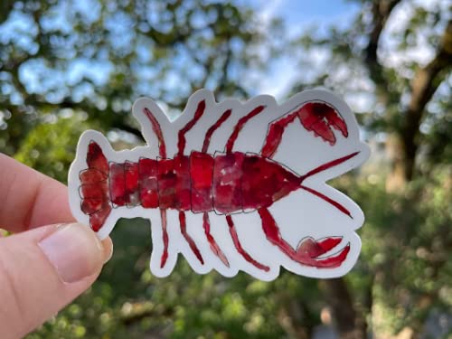 Funny Lobster Stickers - Waterproof Vinyl Decals for Laptops, Cars & DIY Crafts - Perfect for Gifts, Scrapbooking & Home Decor