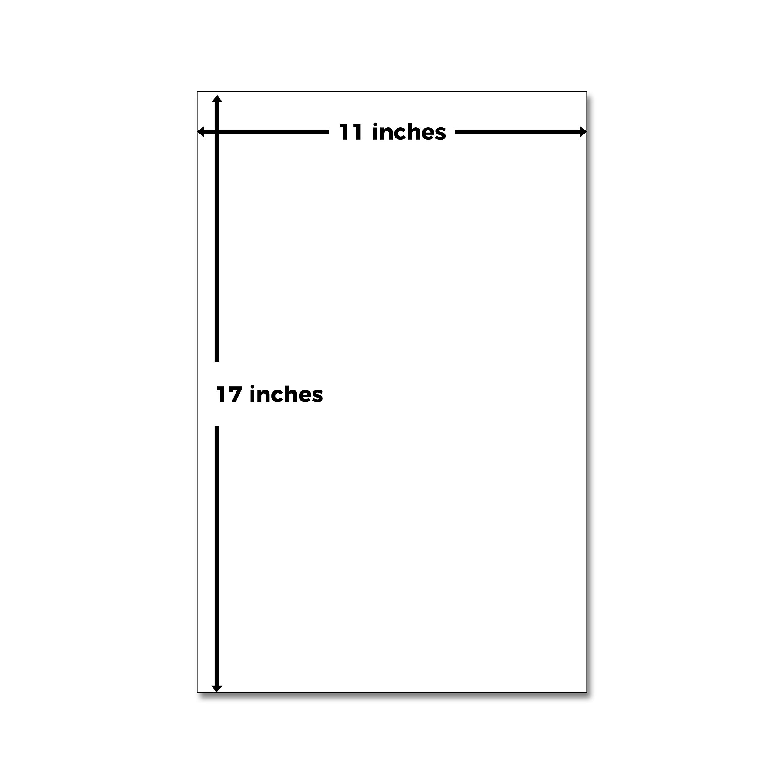 Premium 11 x 17