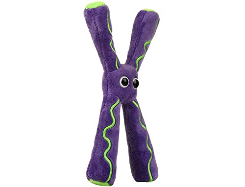 GIANTmicrobes Chromosome Plush Toy - Unique Genetics & DNA Science Gift for Genetic Counselors, Genealogy Enthusiasts, Science Teachers | Fun Educational Gift for Classrooms, Labs & STEM Events