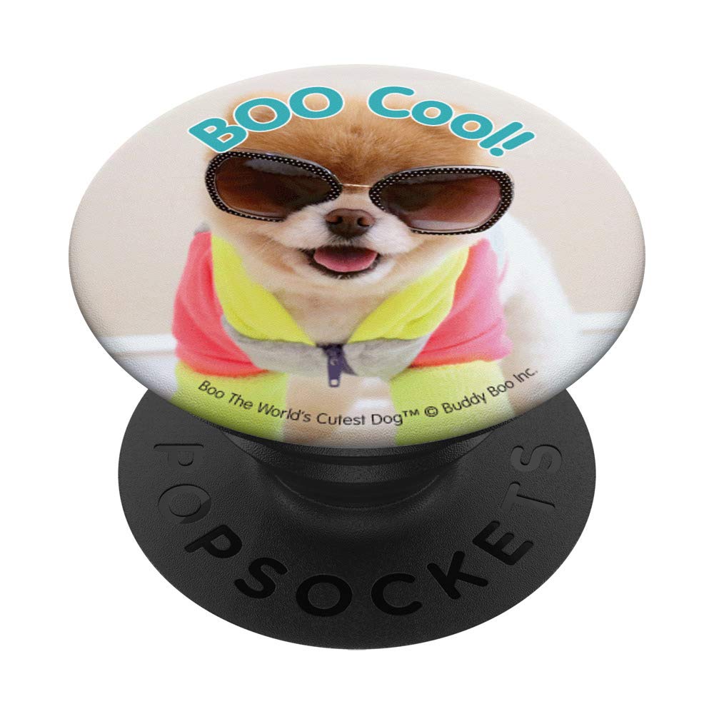 Boo The World's Cutest Dog - Adorable Car Phone Holder Knob for Dashboard | Perfect for Safe Driving & Hands-Free Navigation (Model 6865)