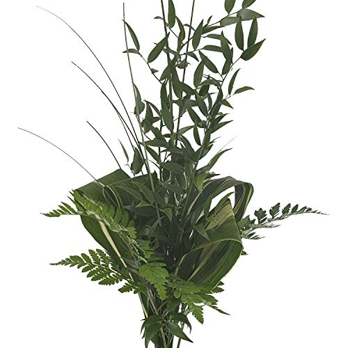 Grandeur Greens Mixed Bouquet - 5 Pack Fresh Cut Greenery for Home & Office Decor | Perfect for Birthdays, Weddings, DIY, Parties, Housewarming, Teacher Gifts & Engagement Celebrations | Premium Flower Delivery by Bloomingmore