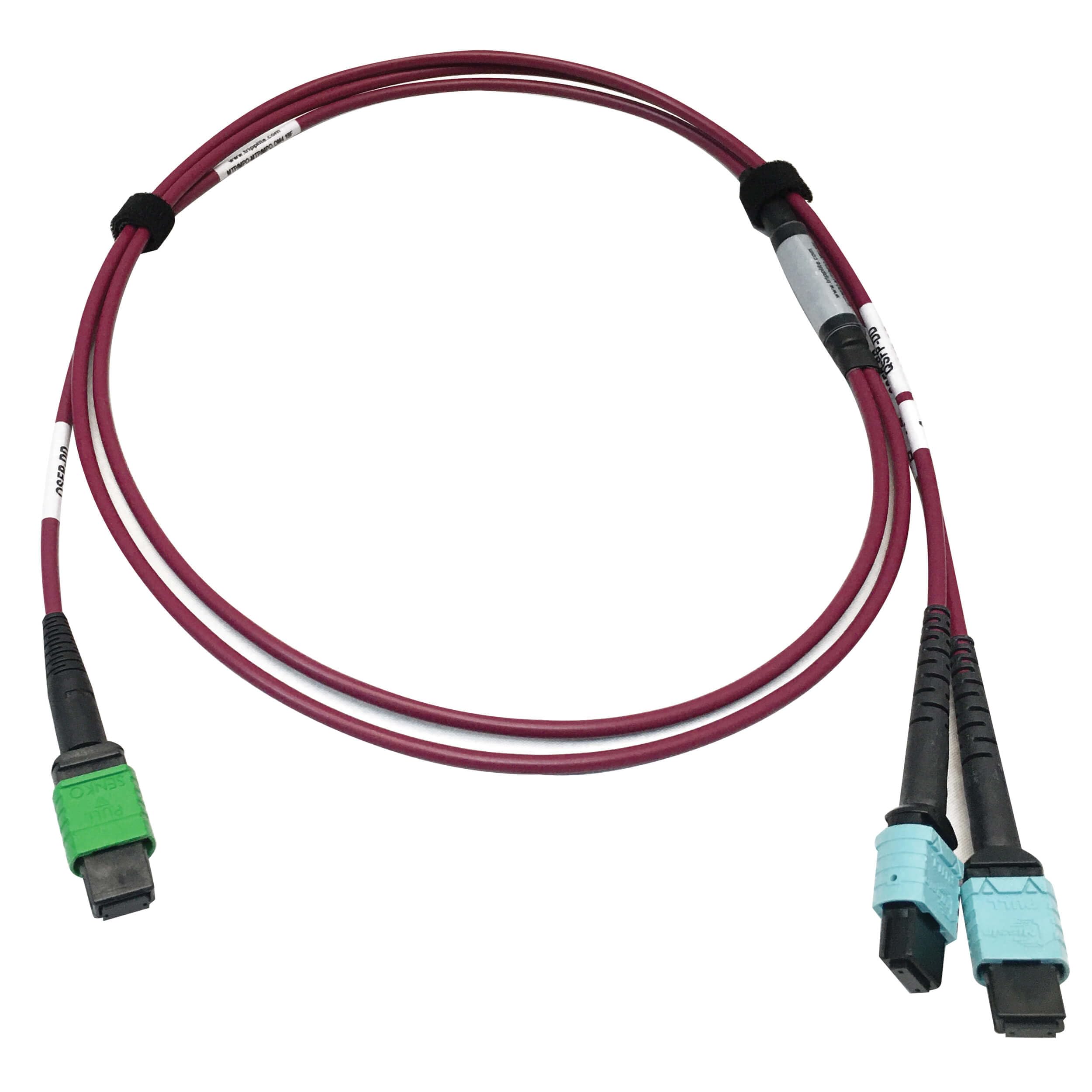 Tripp Lite 400GB OM4 Multimode Fiber Optic Ethernet Cable - 50/125 Plenum Rated, 16F MTP/MPO-APC to 2X 12F MTP/MPO-UPC (F/F), 3m Magenta (N846D-03M-16DMG) - Ideal for High-Speed Data Centers & Enterprise Networks