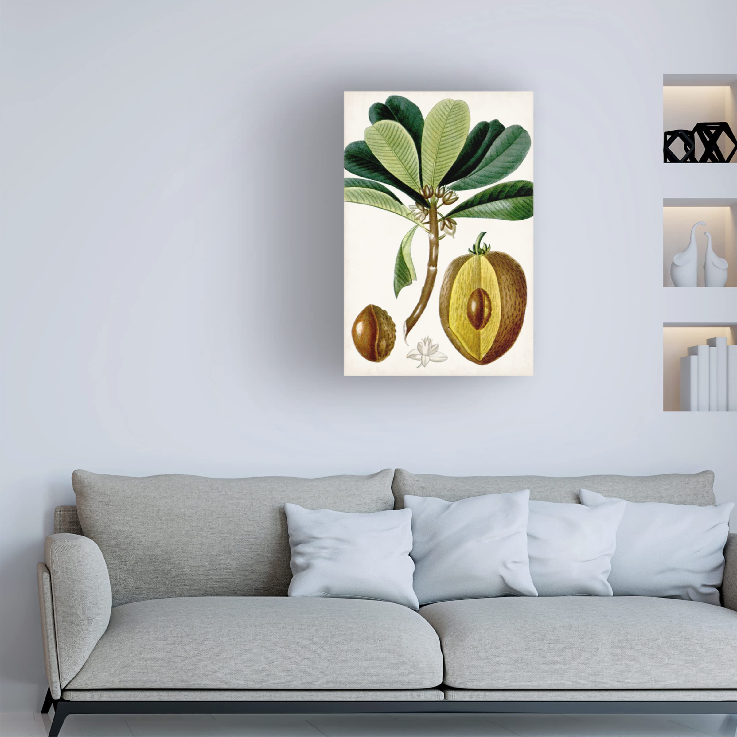 Trademark Fine Art 'Turpin Tropical Fruit VI' Canvas Wall Art Print - Vibrant Tropical Fruit Painting for Home, Office & Kitchen Decor