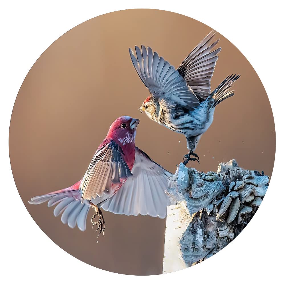 300 Piece Round Wooden Wall Art Puzzle - Animal & Birds Series, Educational & Decompression Toy for Adults, Parent-Child Games, Home Decor & Stress Relief Activity