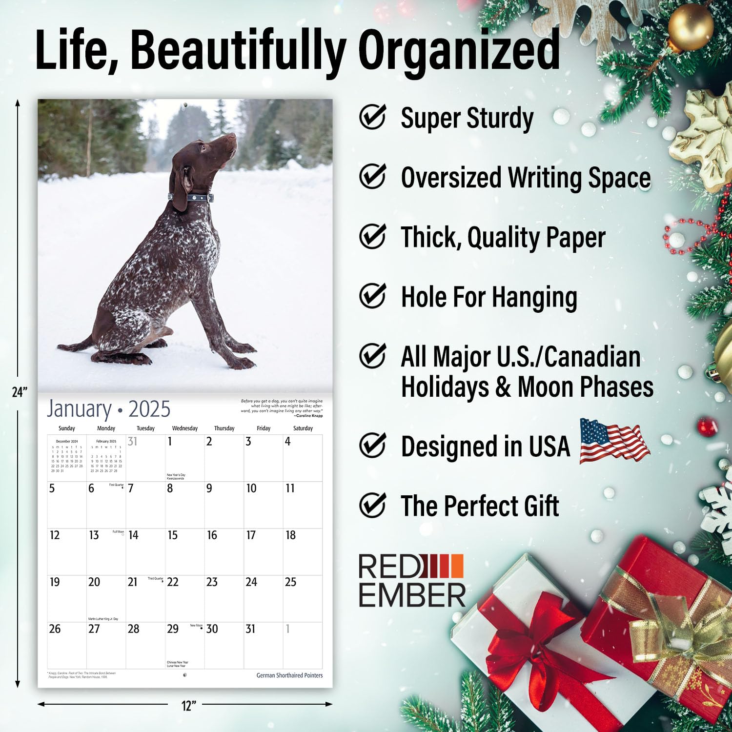 RED EMBER Select - 2025 German Shorthaired Pointer Dog Breed Wall Calendar | 12