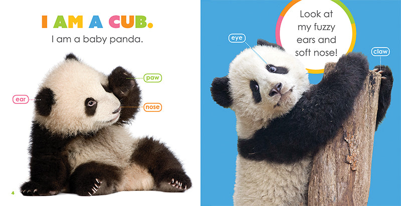Baby Pandas Book - ISBN 978-1-64026-250-8 | Cute Panda Story for Kids, Perfect for Bedtime Reading & Early Learning